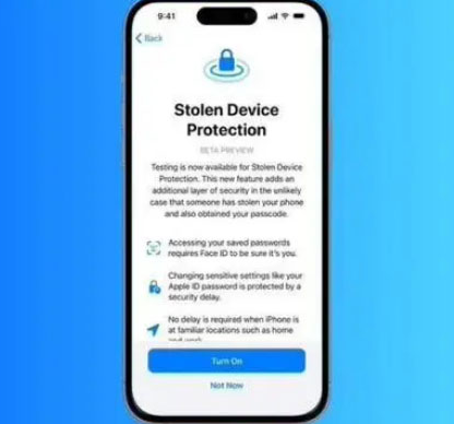 邦溪镇苹果授权维修店分享被盗设备保护功能开启方法 