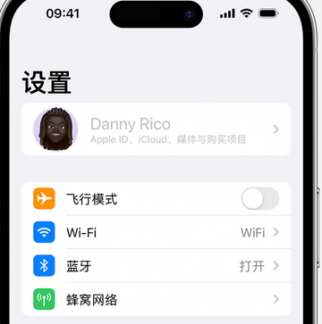 邦溪镇appleID维修服务iPhone设置中Apple ID显示为灰色无法使用