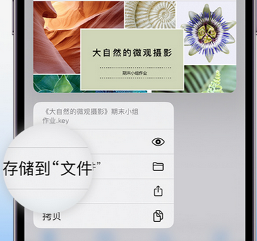 邦溪镇apple维修中心分享iPhone文件应用中存储和找到下载文件