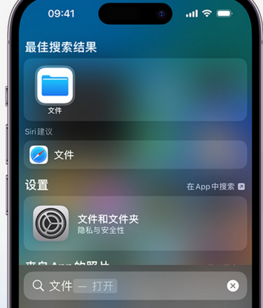 邦溪镇apple维修中心分享iPhone文件应用中存储和找到下载文件 