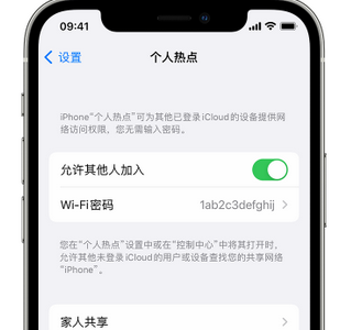 邦溪镇apple服务站点分享iPhone上个人热点丢失了怎么办 