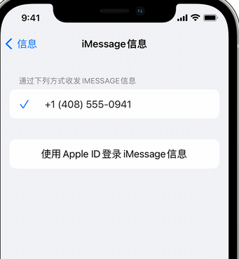 邦溪镇apple维修iPhone上无法正常发送iMessage信息 