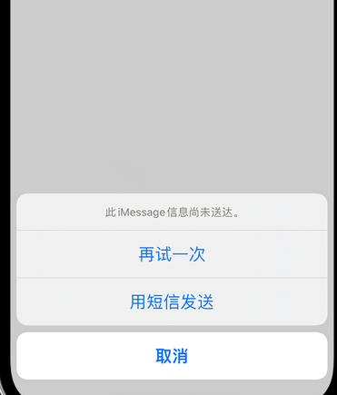 邦溪镇apple维修iPhone上无法正常发送iMessage信息