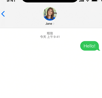 邦溪镇apple维修iPhone上无法正常发送iMessage信息