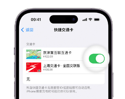 邦溪镇apple维修点分享iPhone上更换Apple Pay快捷交通卡手绘卡面 