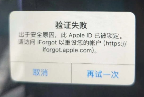 邦溪镇iPhone维修分享iPhone上正常登录或使用AppleID怎么办 