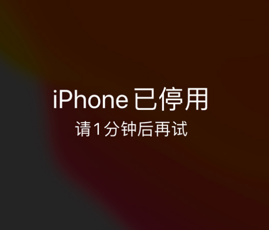 邦溪镇苹果手机维修分享:iPhone 显示“不可用”或“已停用”怎么办？还能保留数据吗？ 