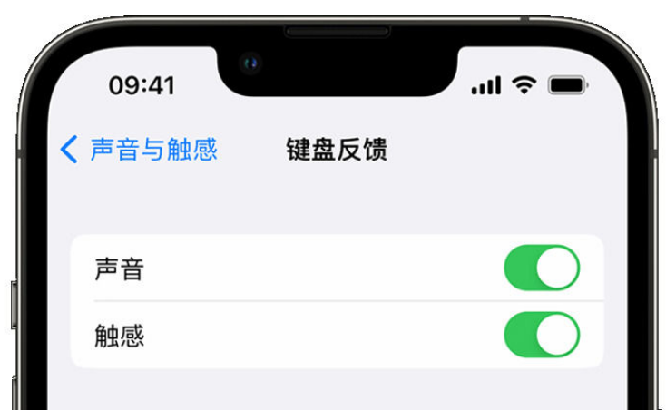 邦溪镇苹果手机维修分享iPhone 14触感键盘使用方法 