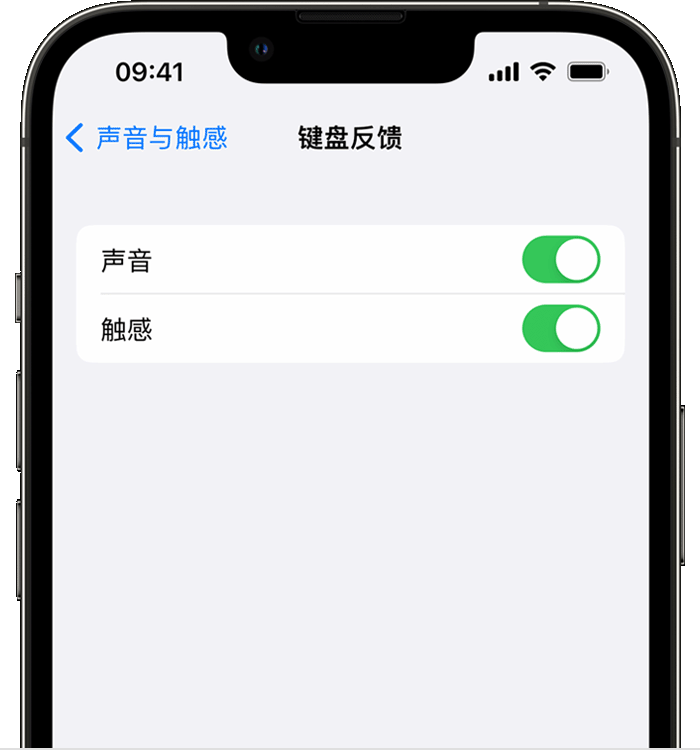 邦溪镇苹果14维修店分享如何在 iPhone 14 机型中使用触感键盘 