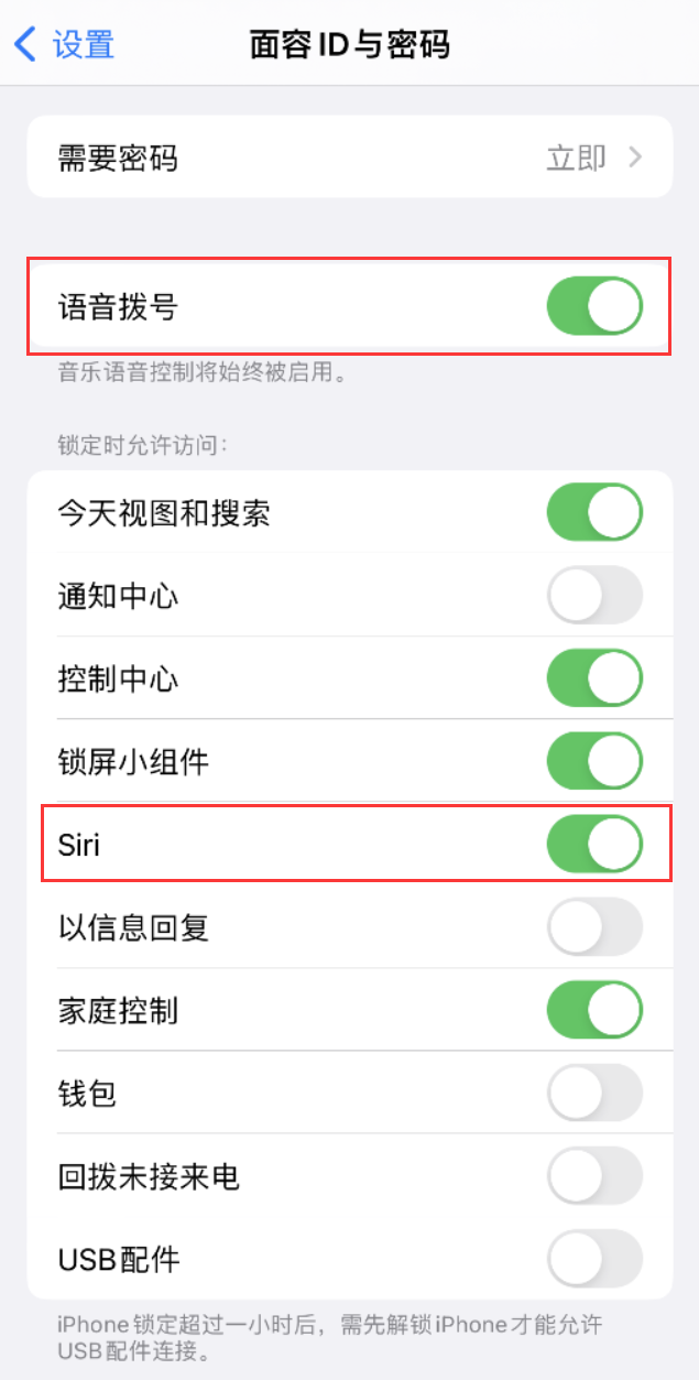 邦溪镇苹果维修网点分享不解锁 iPhone 的情况下通过 Siri 拨打电话的方法 