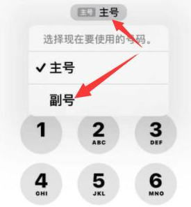 邦溪镇苹果14维修店分享iPhone 14 Pro Max使用副卡打电话的方法 