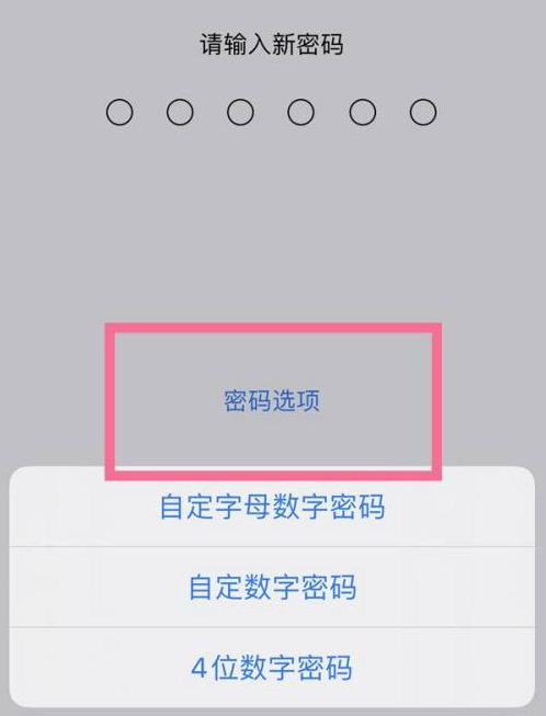 邦溪镇苹果14维修分享iPhone 14plus设置密码的方法 