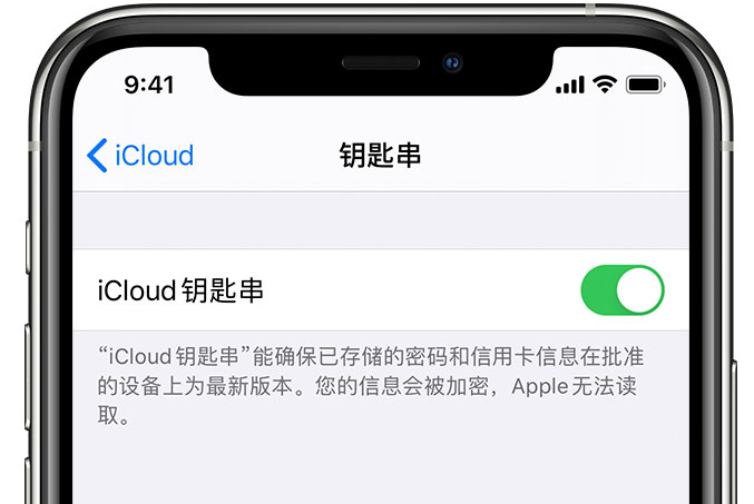 邦溪镇苹果手机维修分享在 iPhone 上开启 iCloud 钥匙串之后会储存哪些信息 