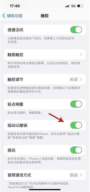 邦溪镇苹果手机维修分享iPhone手机如何设置摇一摇删除文字 