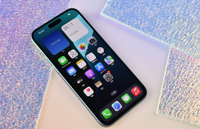 邦溪镇苹果手机维修分享为什么大家不喜欢苹果iPhone 16 Plus 
