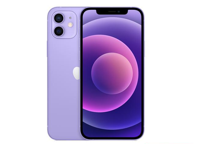 邦溪镇苹果手机维修分享现阶段要不要入手紫色版iPhone12 